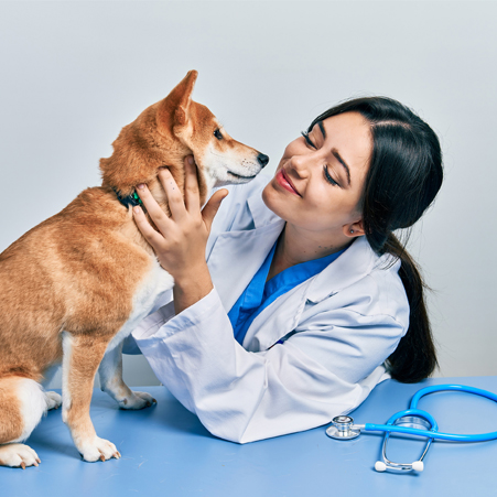 VTM - female doctor examining a dog